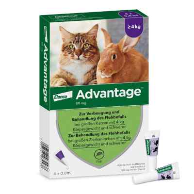 Advantage Spot-On für Katzen und Zierkaninchen von 4 - 8 kg