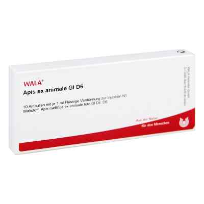 Apis Ex Animale Gl D6 Ampullen