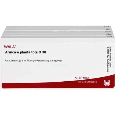Arnica E Planta tota D30 Ampullen 50X1 ml von WALA Heilmittel GmbH PZN 02902480