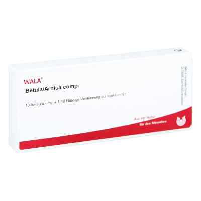 Betula/arnica Comp. Ampullen
