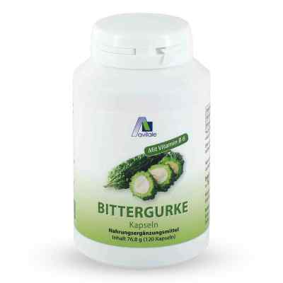Bittergurke 500 mg 10:1 Extrakt Kapseln