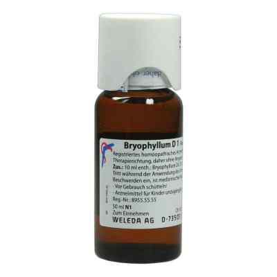 Bryophyllum D1 Dilution 50 ml von WELEDA AG PZN 01613087