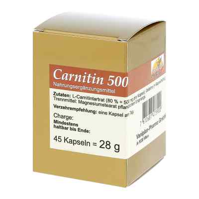 Carnitin 500 Kapseln 45 stk von FBK-Pharma GmbH PZN 00431378