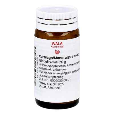 Cartilago/mandragora compositus Globuli