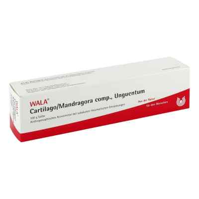 Cartilago/mandragora compositus Salbe