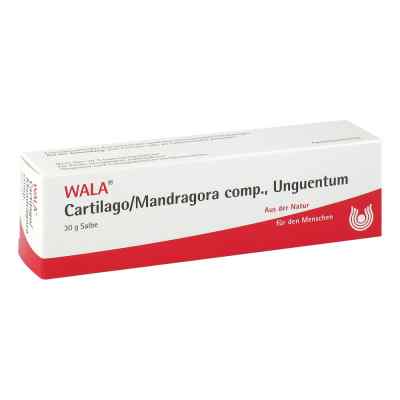 Cartilago/mandragora compositus Salbe