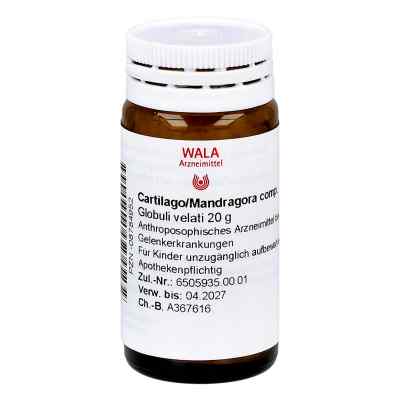 Cartilago/mandragora compositus Globuli 20 g von WALA Heilmittel GmbH PZN 08784952