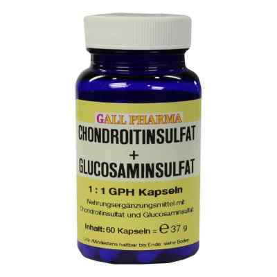 Chondroitinsulfat+glusosaminsulfat 1:1 Gph Kapseln 60 stk von GALL-PHARMA GmbH PZN 00397598