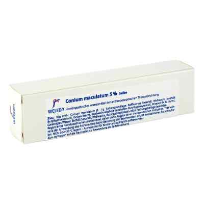 Conium Maculatum 5% Salbe 25 g von WELEDA AG PZN 01627830