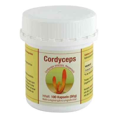 Cordyceps sinensis Kapseln