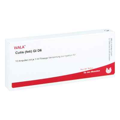Cutis Feti Gl D6 Ampullen