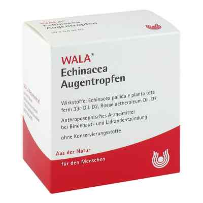 Echinacea Augentropfen 30X0.5 ml von WALA Heilmittel GmbH PZN 01448122