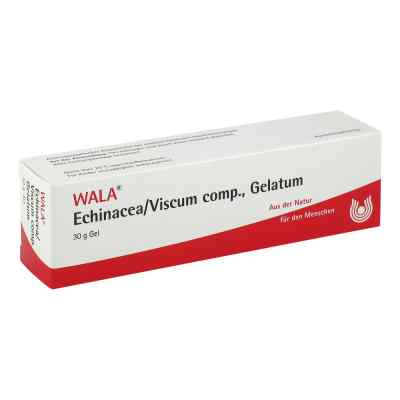 Echinacea/viscum compositus Gelatum