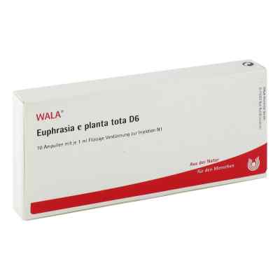 Euphrasia E planta tota D6  Ampullen 10X1 ml von WALA Heilmittel GmbH PZN 02921572