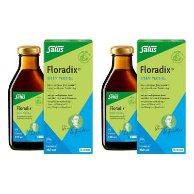 Floradix Eisen Plus B12 vegan Tonikum