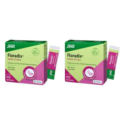 Floradix Eisen Sticks Pulver Salus