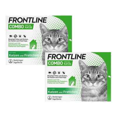 FRONTLINE COMBO Katze