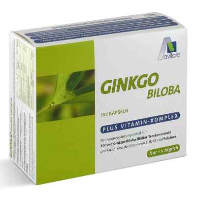 Ginkgo 100 mg + Vitamine C, E, B1 und Folsäure Kapseln