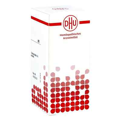 Ginkgo Biloba D6 Tabletten 80 stk von DHU-Arzneimittel GmbH & Co. KG PZN 04218693