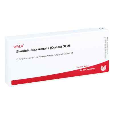 Glandula Supraren. Cort. Gl D6 Ampullen