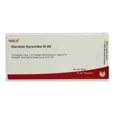 Glandula Thyreoidea Gl D6 Ampullen