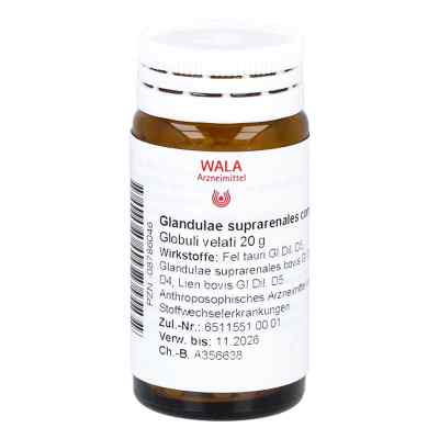 Glandulae Supraren. Comp. Globuli 20 g von WALA Heilmittel GmbH PZN 08786046