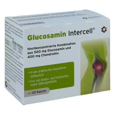Glucosamin Intercell Kapseln
