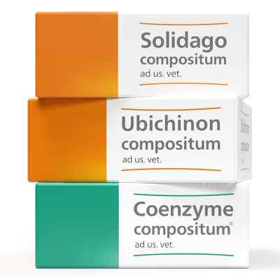 Heel Vet SUC Bundle 3 Pck von Biologische Heilmittel Heel GmbH PZN 08101827