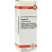 Hirudo D6 Dilution