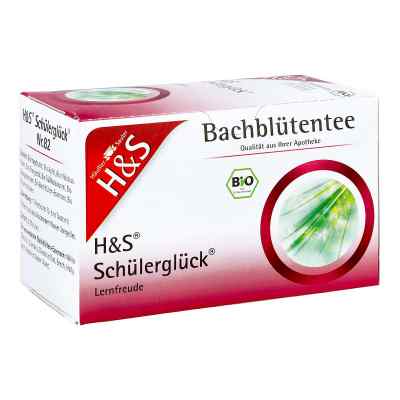 H&s Bachblüten Schülerglück-tee Filterbeutel 20X3.0 g von H&S Tee - Gesellschaft mbH & Co. PZN 07763824