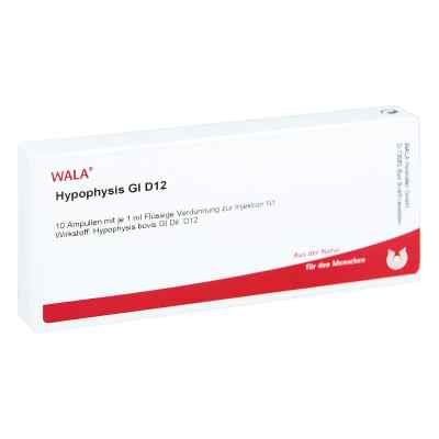 Hypophysis Gl D12 Ampullen