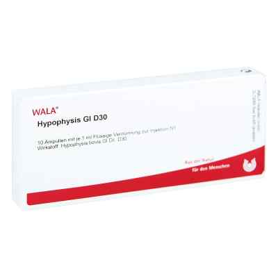 Hypophysis Gl D30 Ampullen