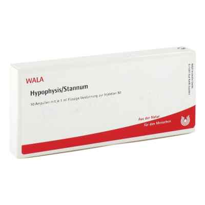 Hypophysis/stannum Ampullen