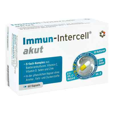 Immun Intercell akut hartkapsel mit msr.überz.pell. 60 stk von INTERCELL-Pharma GmbH PZN 16396201