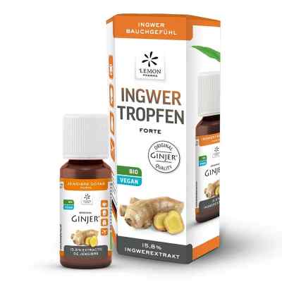 Ingwer Ginjer forte Tropfen