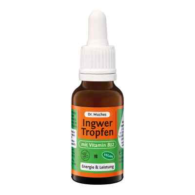Ingwertropfen+vitamin B12 Doktor muches 20 ml von Dr. Muche GmbH PZN 14291107