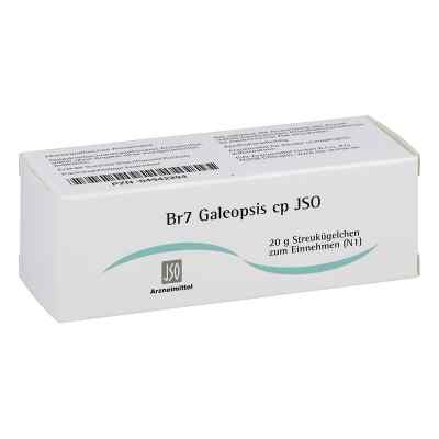 Jso Jkh Brustmittel Br 7 Galeopsis cp Globuli 20 g von ISO-Arzneimittel GmbH & Co. KG PZN 04942294