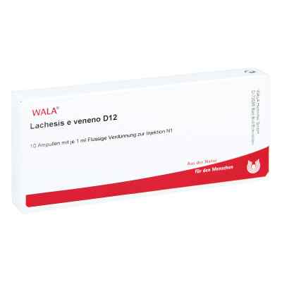 Lachesis E Veneno Gl D12 Ampullen
