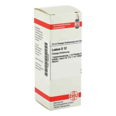 Ledum D12 Dilution