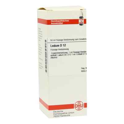 Ledum D12 Dilution 50 ml von DHU-Arzneimittel GmbH & Co. KG PZN 02926115