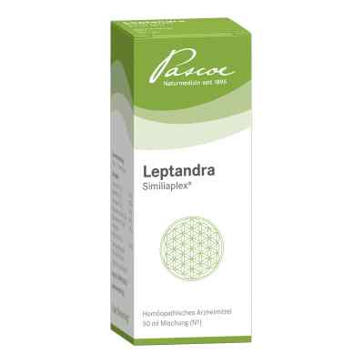 Leptandra Similiaplex 50 ml von Pascoe pharmazeutische Präparate PZN 01353232
