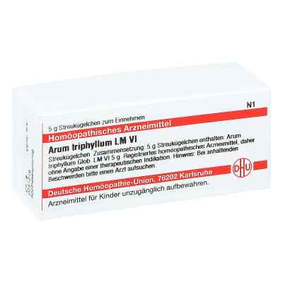 Lm Arum Triphyllum Vi Globuli 5 g von DHU-Arzneimittel GmbH & Co. KG PZN 04501880