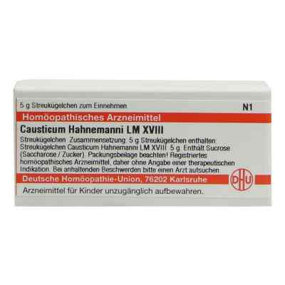 Lm Causticum Xviii Globuli Dhu Hahnemann  5 g von DHU-Arzneimittel GmbH & Co. KG PZN 02658962