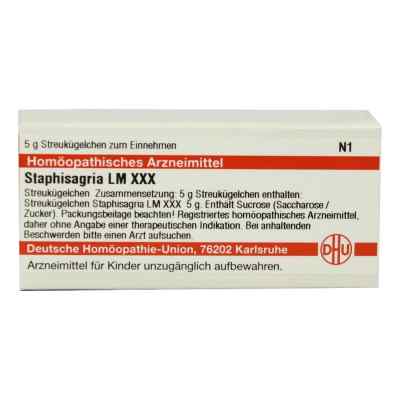 Lm Staphisagria Xxx Globuli 5 g von DHU-Arzneimittel GmbH & Co. KG PZN 02678976
