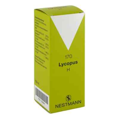 Lycopus H Nummer 170 Tropfen