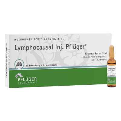 Lymphocausal iniecto Pflüger Ampullen 10X2 ml von Homöopathisches Laboratorium Ale PZN 15892174