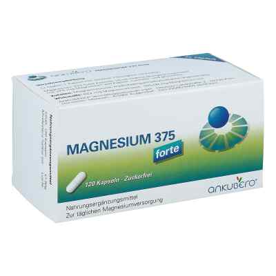 Magnesium 375 forte Kapseln