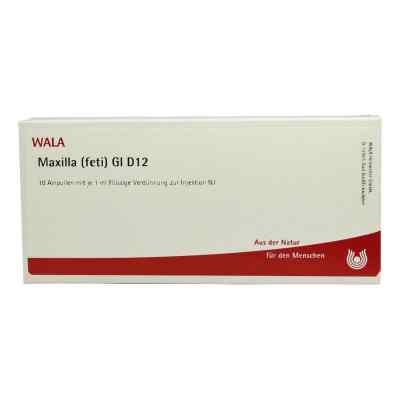 Maxilla Feti Gl D12 Ampullen 10X1 ml von WALA Heilmittel GmbH PZN 02934557