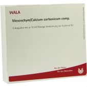 Mesenchym/ Calcium Carb. Comp. Ampullen