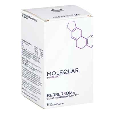 Moleqlar Berberine Mineral-Complex Kapseln